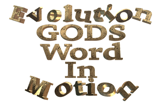 #2 What is your mindset creation or evolution